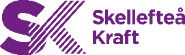 SK website logo